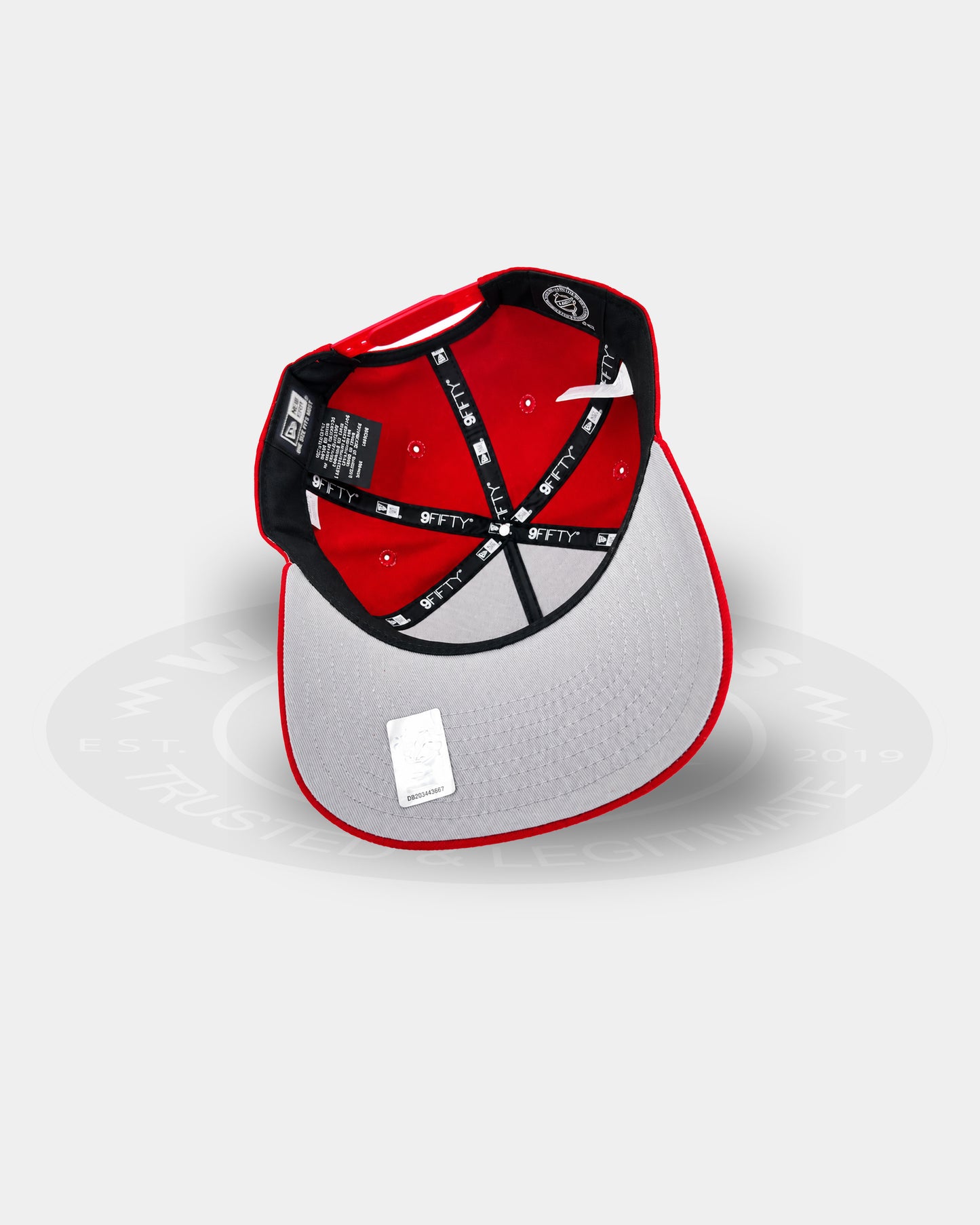Detroit Red Wings Centennial Strike 9FIFTY A Frame Snapback Hat