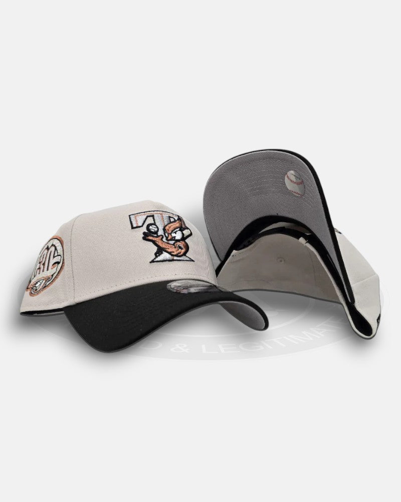 Toronto Blue Jays 30th Season Two Tone Stone Black 9Forty A-Frame Snapback Hat