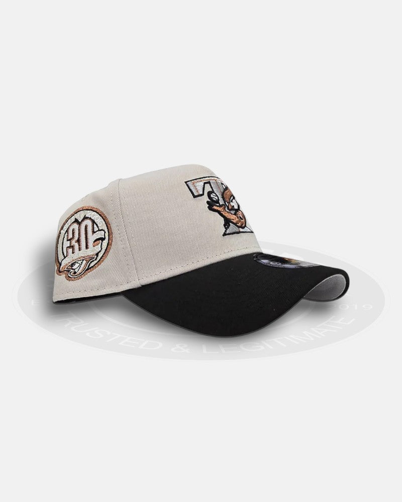 Toronto Blue Jays 30th Season Two Tone Stone Black 9Forty A-Frame Snapback Hat