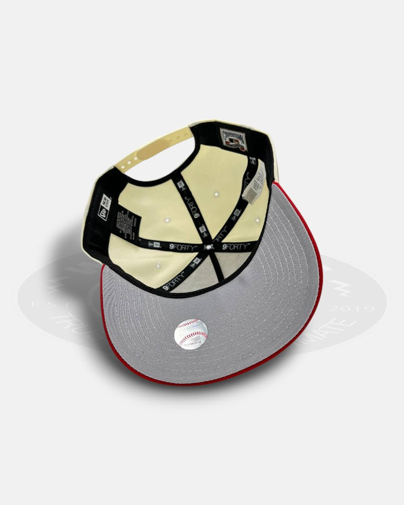Minnesota Twins 1961-2010 50th Season's Two Tone A-Frame 9Forty Snapback Hat