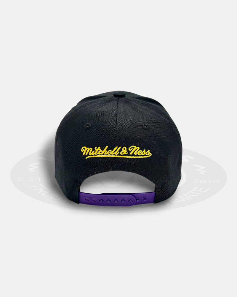 Los Angeles Lakers Mixed Font Front Logo Pro Crown Snapback Hat