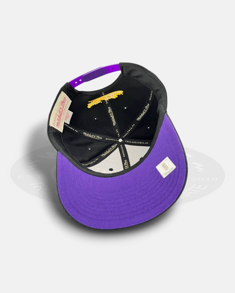 Los Angeles Lakers Mixed Font Front Logo Pro Crown Snapback Hat