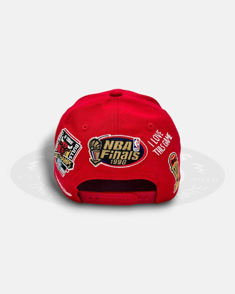 Chicago Bulls 6x NBA Champion Overall Logo Pro Crown Snapback Hat