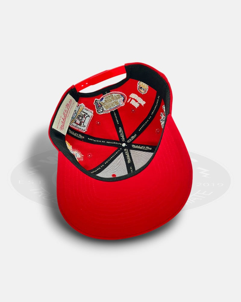 Chicago Bulls 6x NBA Champion Overall Logo Pro Crown Snapback Hat