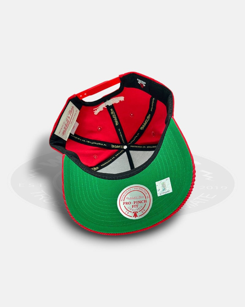 Chicago Bulls Hard Wood Classic Collection Corduroy Pro Pinch Fit Snapback Hat