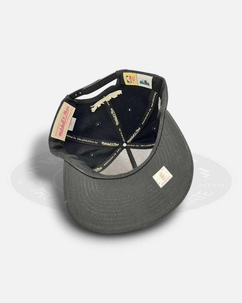 Minnesota Timberwolves 1989-2009 20th Seasons Pro Pinch Fit Snapback Hat