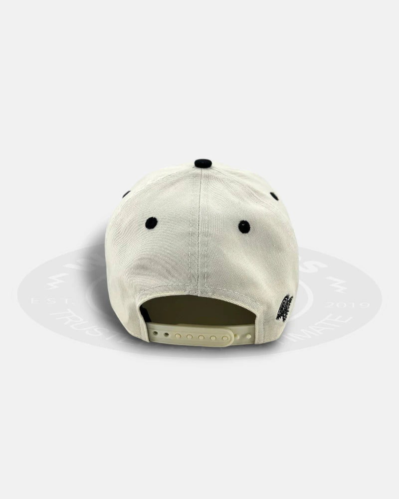 Los Angeles Dodgers Paisley Chrome Two Tone 9FORTY A-Frame Snapback Hat