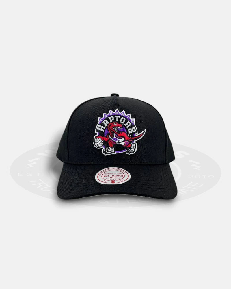 Toronto Raptors HWC Black Pro Pinch Snapback Hat