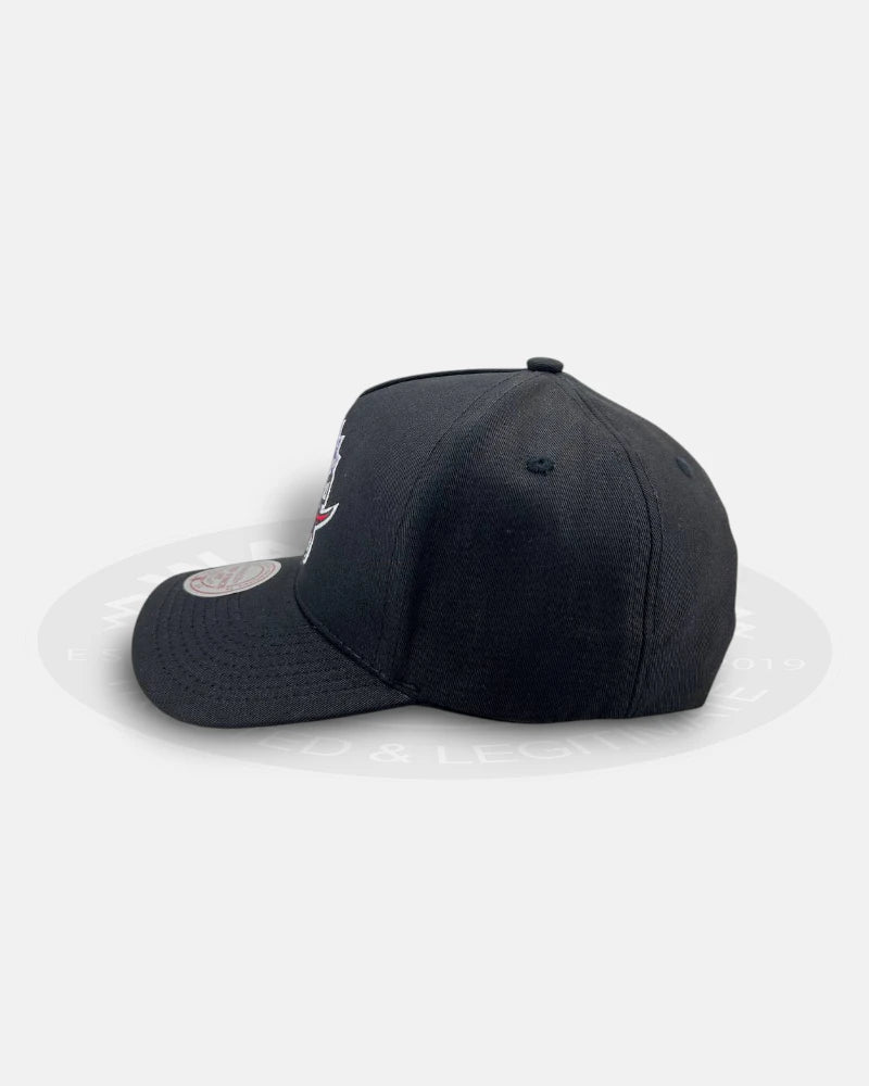 Toronto Raptors HWC Black Pro Pinch Snapback Hat