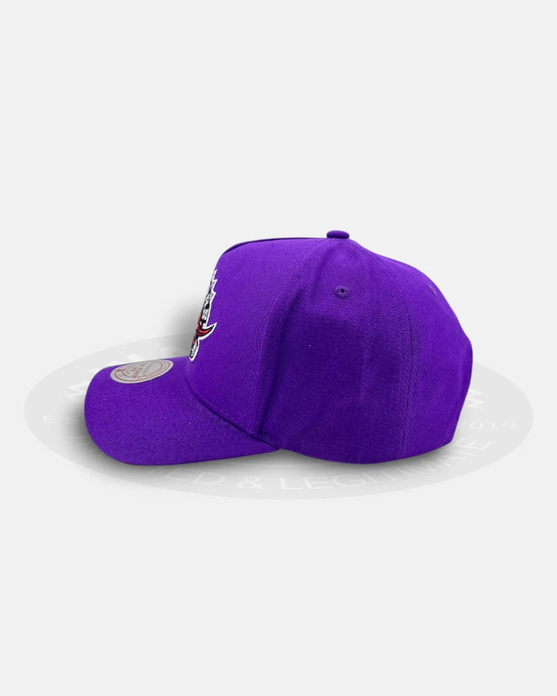 Toronto Raptors Team Color HWC Pro Pinch Snapback Hat