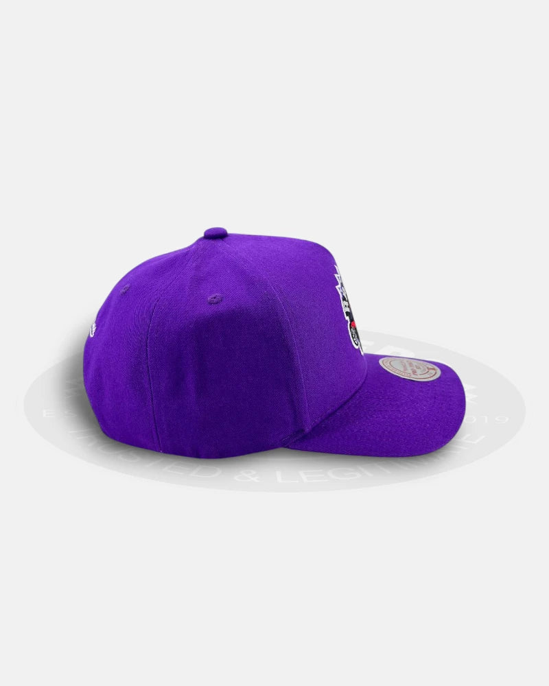 Toronto Raptors Team Color HWC Pro Pinch Snapback Hat