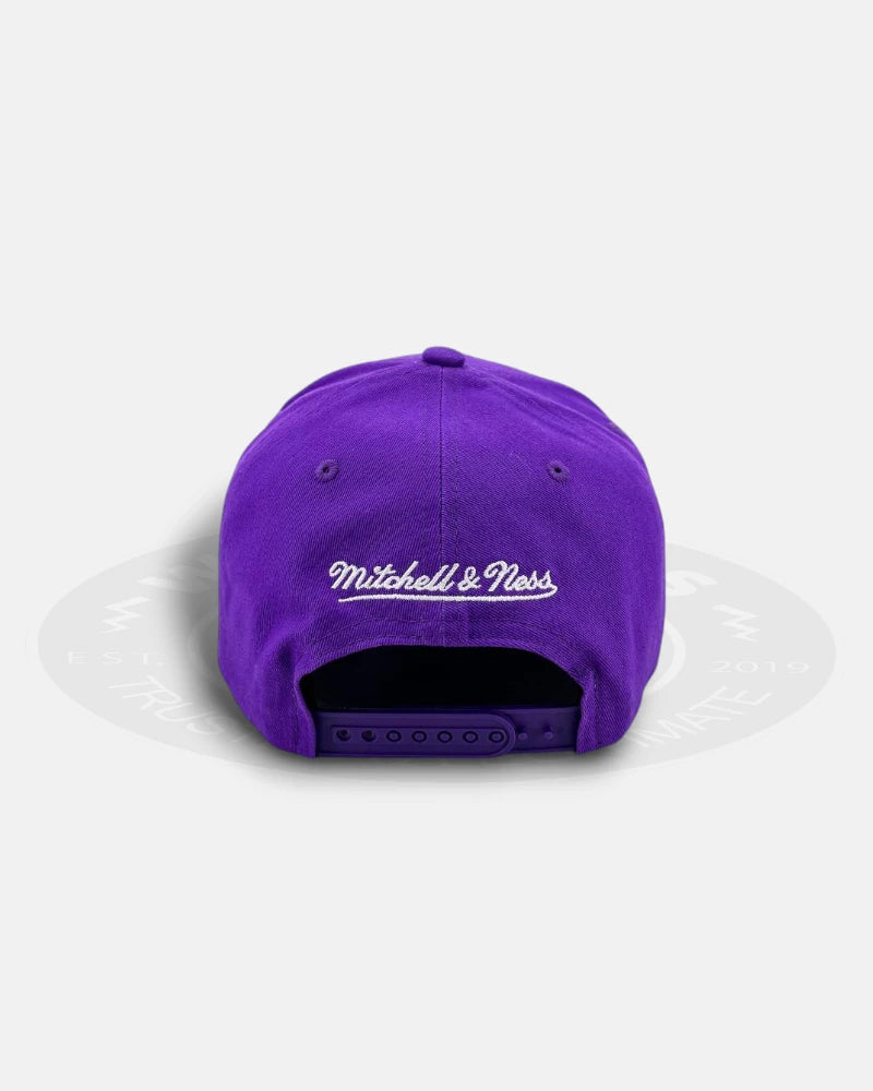 Toronto Raptors Team Color HWC Pro Pinch Snapback Hat