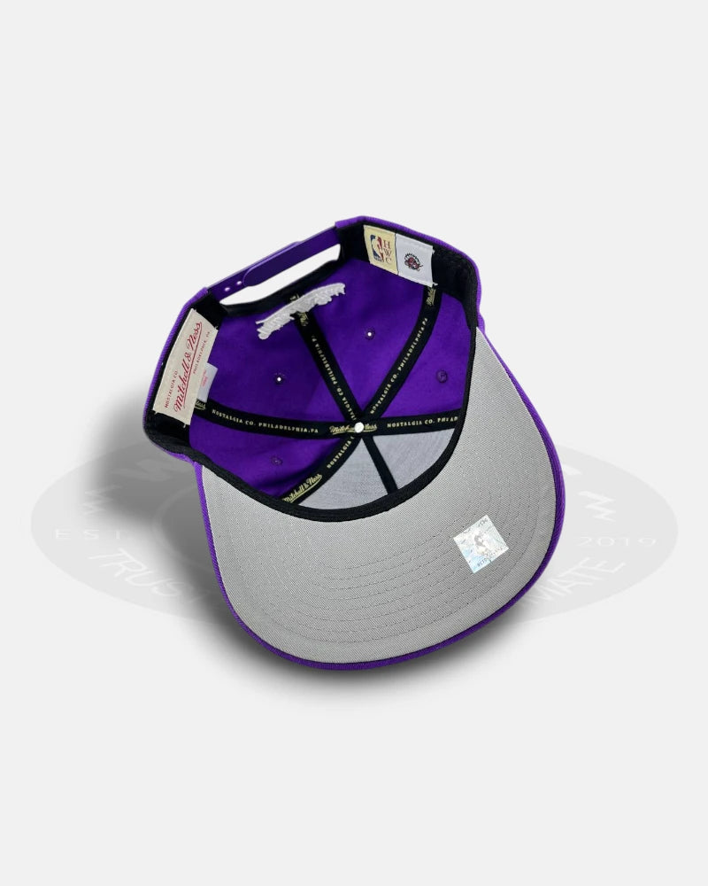Toronto Raptors Team Color HWC Pro Pinch Snapback Hat