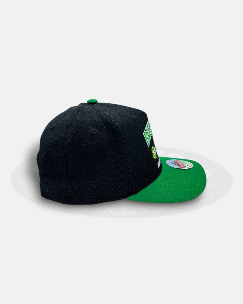 Boston Celtics 1968-1969 Back to Back NBA Champions Two Tone Adjustable Fit Snapback Hat