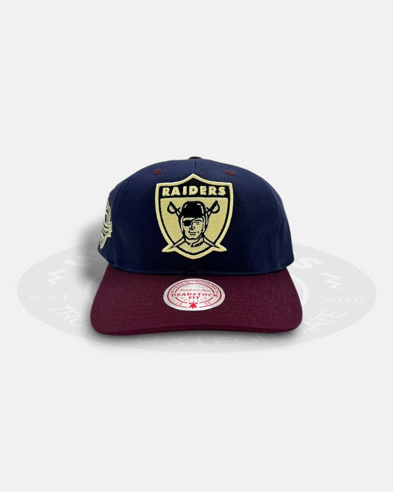 Los Angeles Raiders Acai 1960-2009 50th Commitment to Excellence Deadstock Fit Snapback Hat