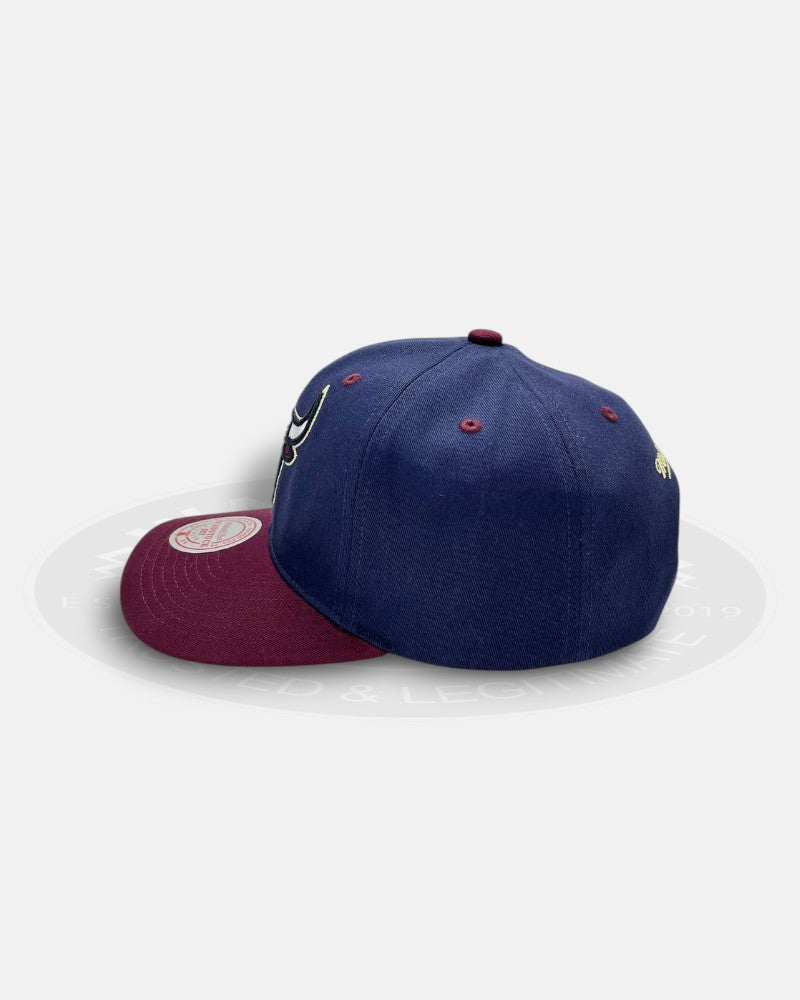 Chicago Bulls Acai 1991-2011 21st Championship Deadstock Fit Snapback Hat