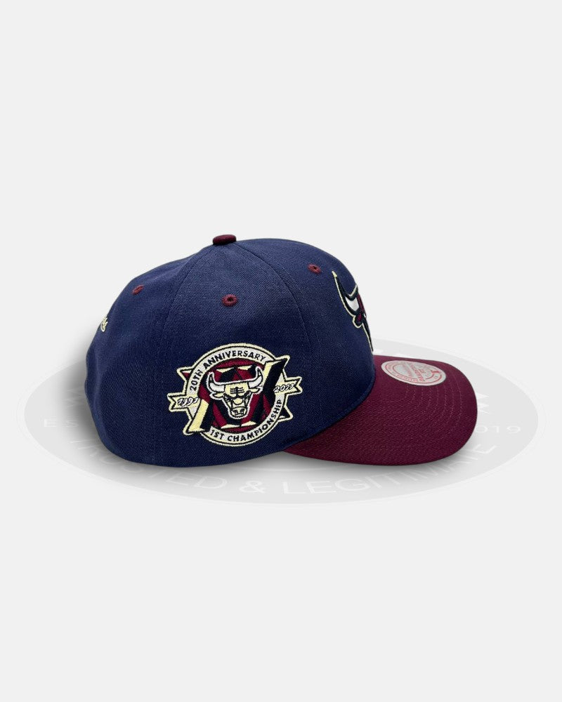 Chicago Bulls Acai 1991-2011 21st Championship Deadstock Fit Snapback Hat