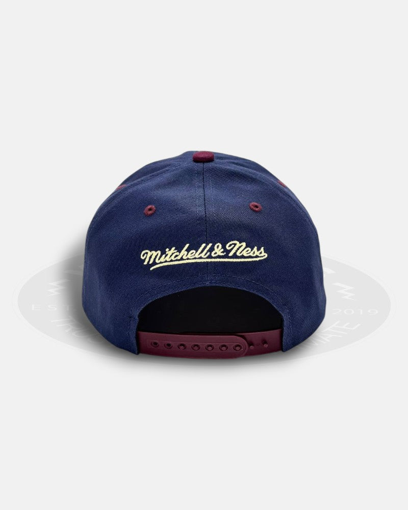 Chicago Bulls Acai 1991-2011 21st Championship Deadstock Fit Snapback Hat