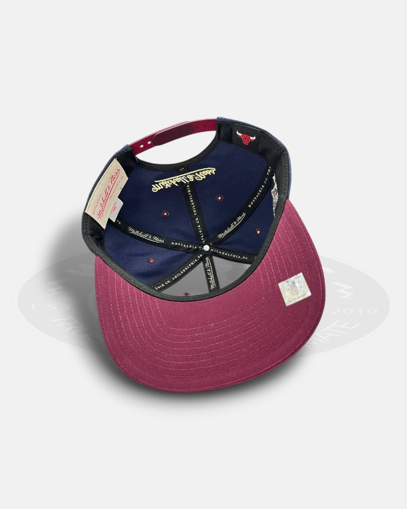 Chicago Bulls Acai 1991-2011 21st Championship Deadstock Fit Snapback Hat