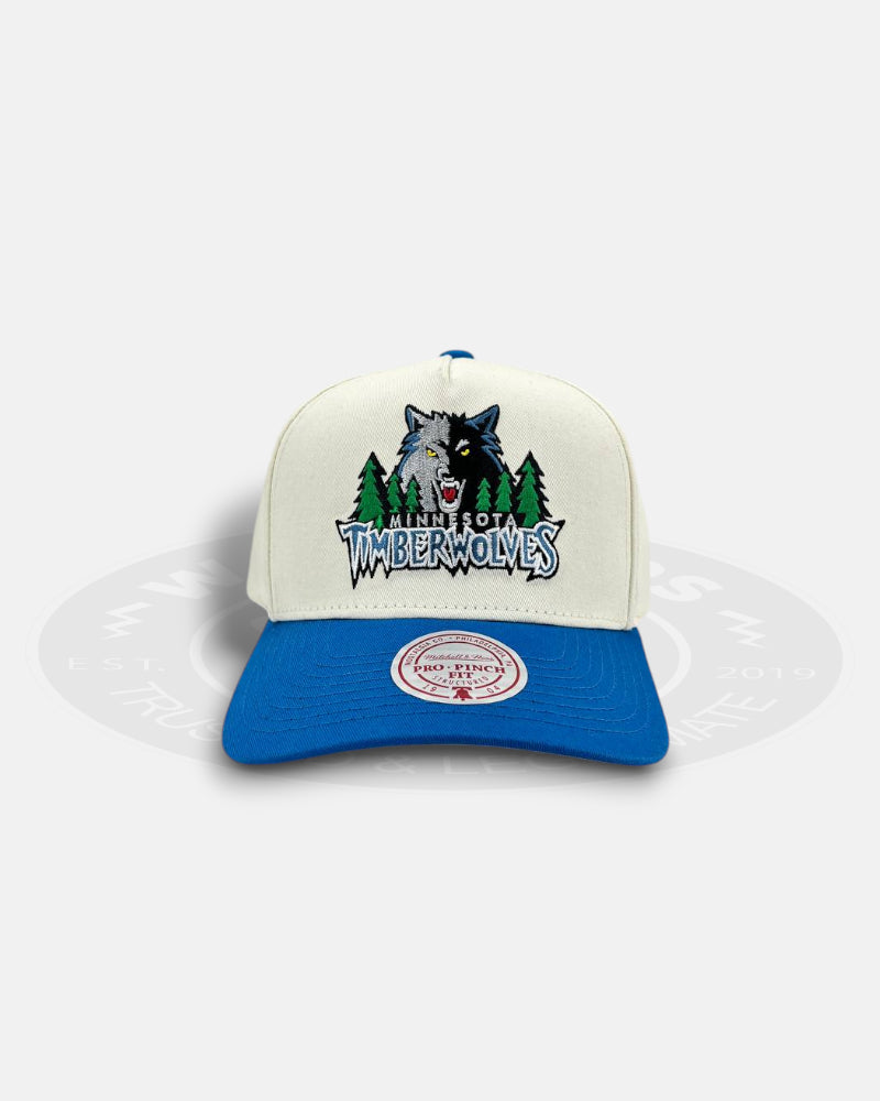 Minnesota Timberwolves HWC Two-Tone Pro Pinch Snapback Hat