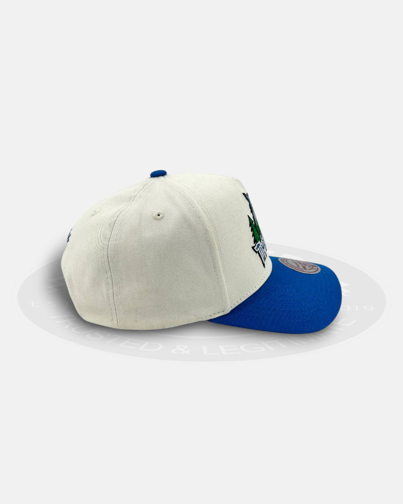 Minnesota Timberwolves HWC Two-Tone Pro Pinch Snapback Hat
