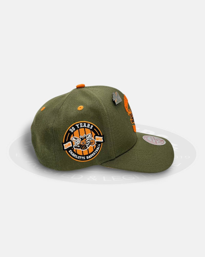 Charlotte Hornets Harmony 1986-2016 30th Years Pro Crown Snapback Hat