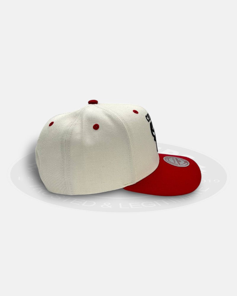 Chicago Bulls Go Team Go OG Snapback Hat