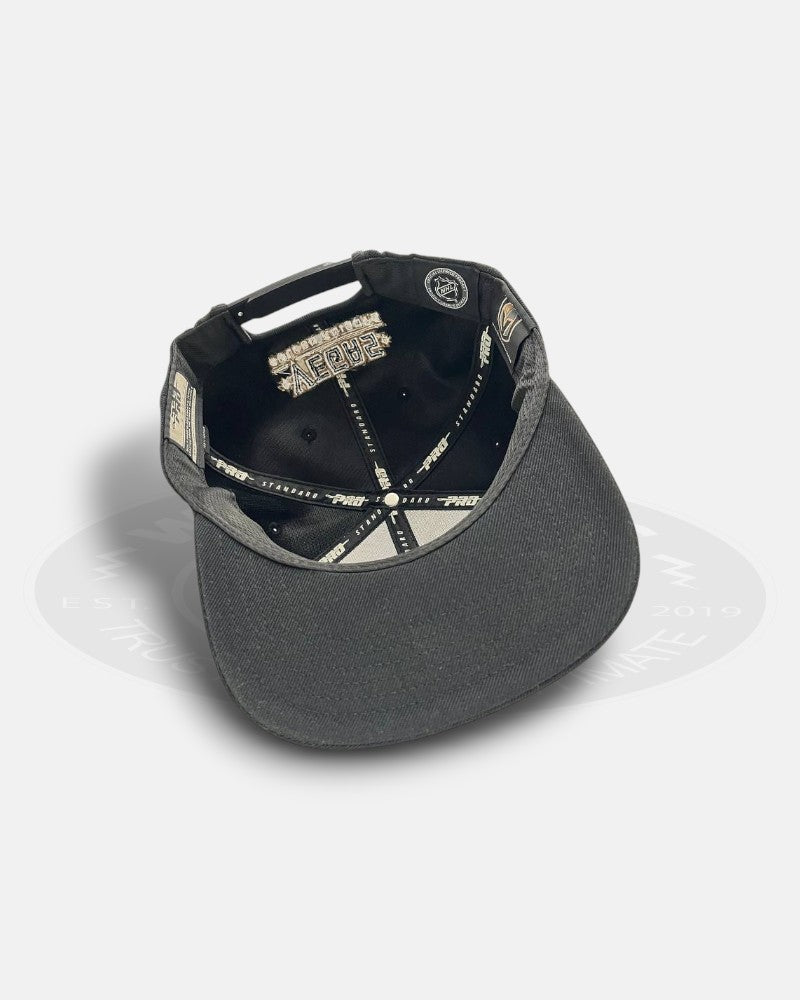 Las Vegas Golden Knights Pro Standard Snapback Hat