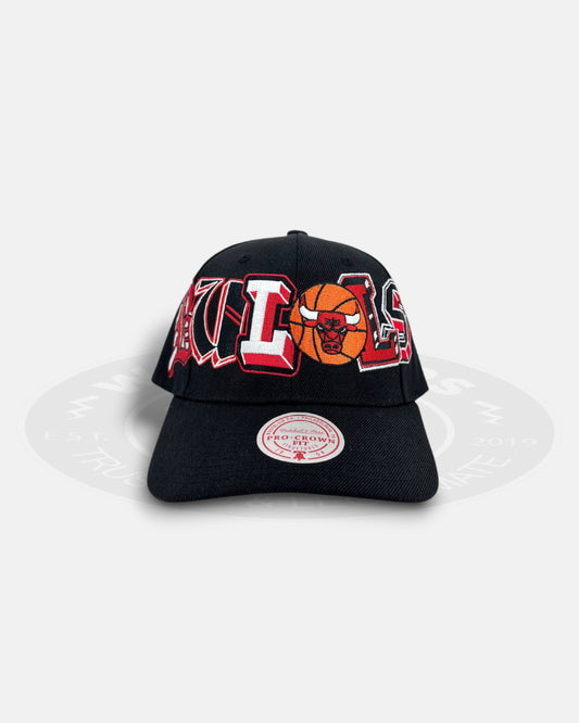 Chicago Bulls Glyphline Pro Crown Snapback