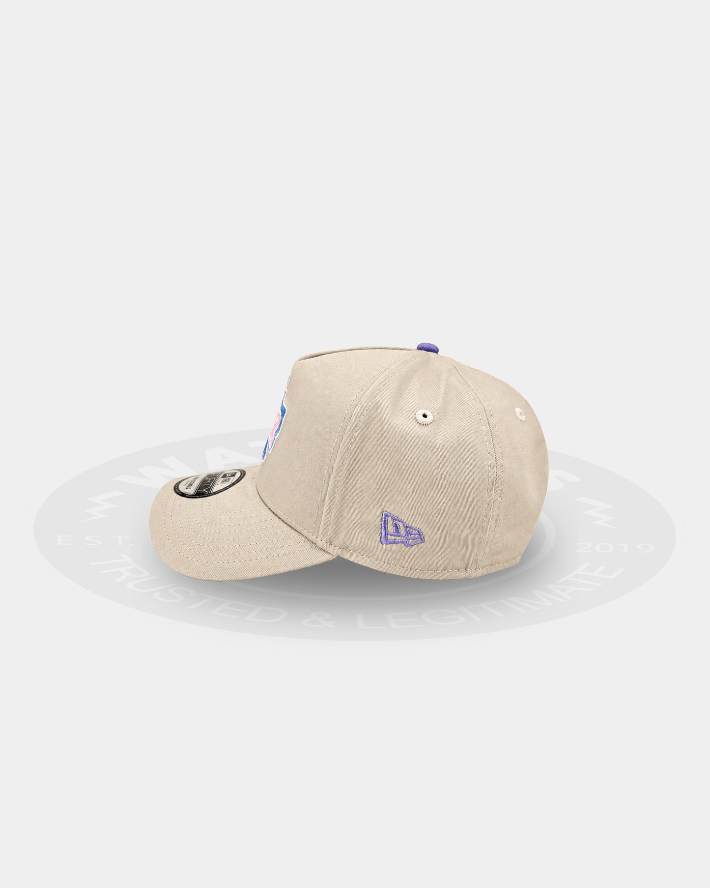 Texas Rangers Pastel Purple 9FORTY A Frame Snapback Hat