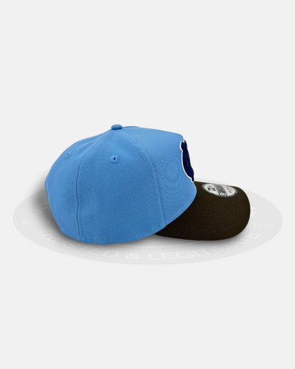 North Carolina Tar Heels Timber Visor 9FORTY A Frame Snapback Hat