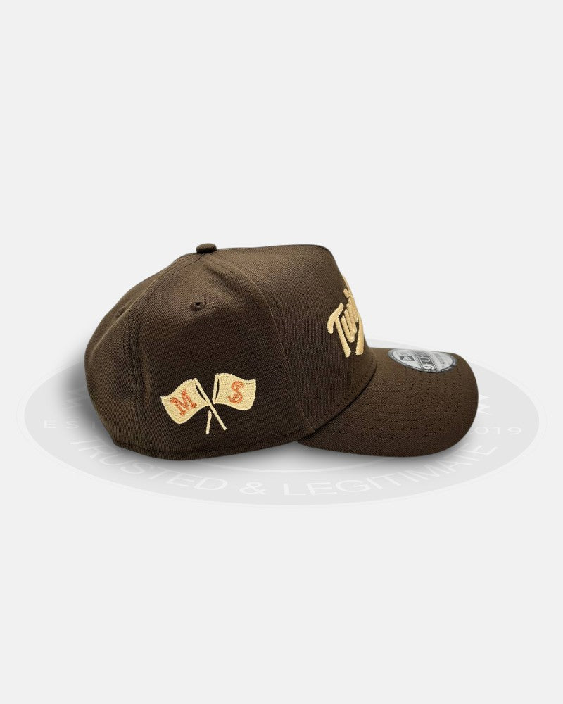 Minnesota Twins M S Flag Side Logo Chrome Brown A-Frame 9Forty Snapback Hat