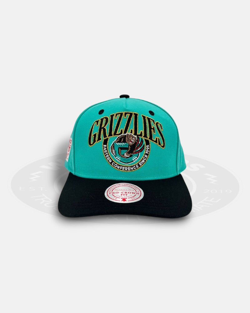 Vancouver Grizzlies Regal Crest Pro Crown Snapback Hat