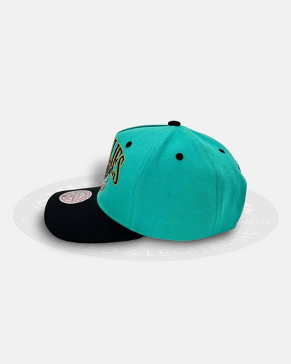 Vancouver Grizzlies Regal Crest Pro Crown Snapback Hat