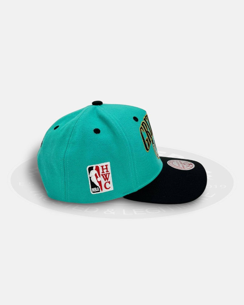 Vancouver Grizzlies Regal Crest Pro Crown Snapback Hat