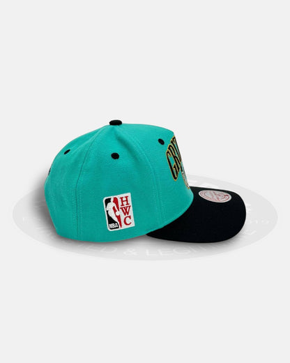 Vancouver Grizzlies Regal Crest Pro Crown Snapback Hat