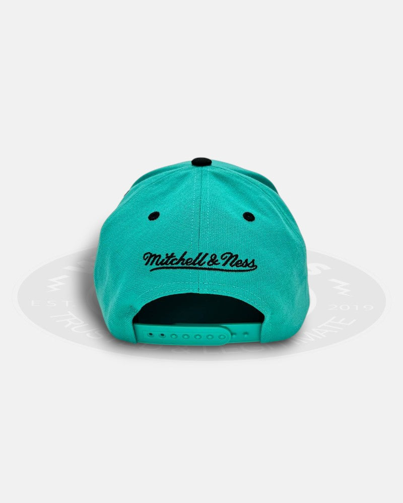 Vancouver Grizzlies Regal Crest Pro Crown Snapback Hat
