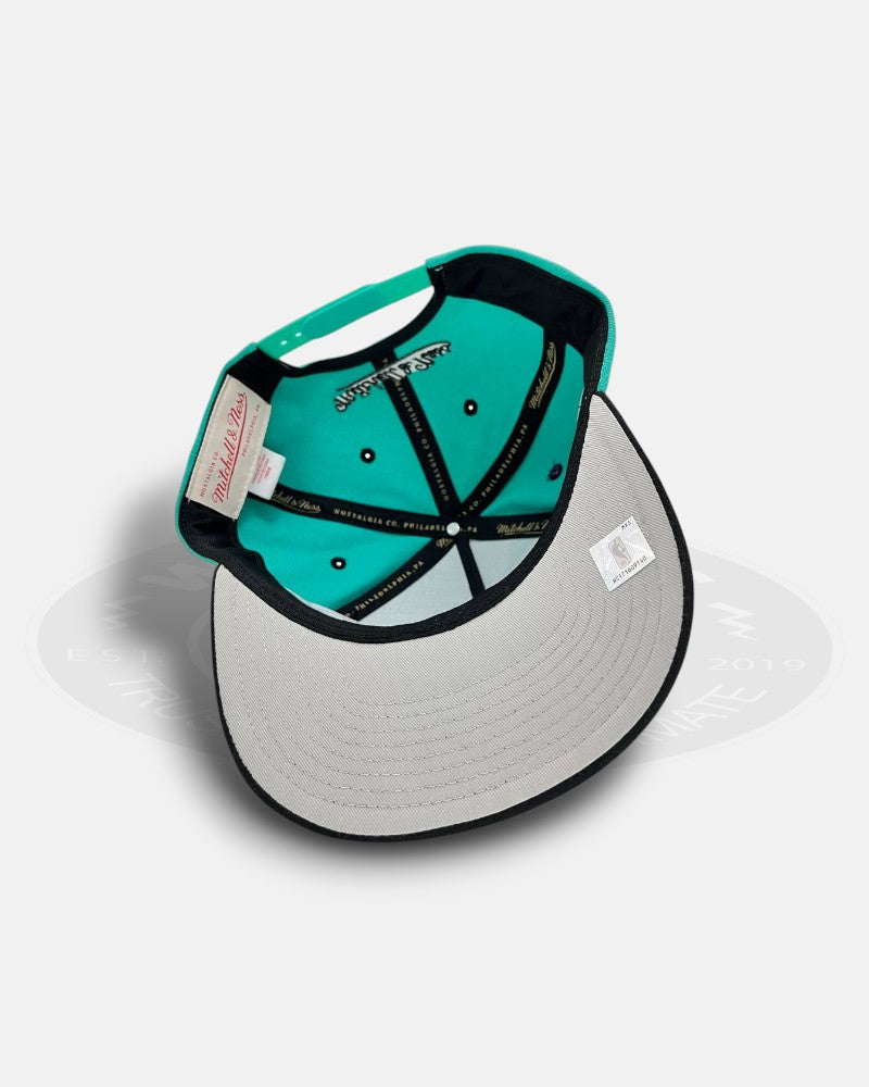 Vancouver Grizzlies Regal Crest Pro Crown Snapback Hat