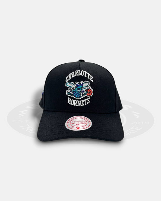 Charlotte Hornets At 10th Year Pro Pinch Fit Snapback Hat
