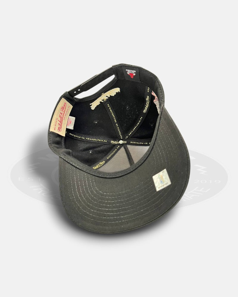 Chicago Bulls 1991-2011 20th Anniversary Pro Pinch Fit Snapback Hat