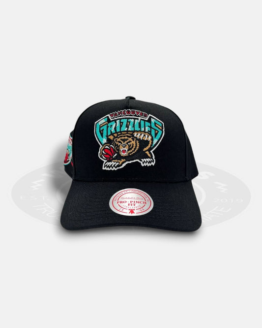 Vancouver Grizzlies 1995-1996 Inaugural Season Pro Pinch Fit Snapback Hat