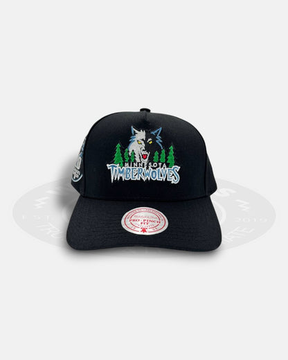 Minnesota Timberwolves 1989-2009 20th Seasons Pro Pinch Fit Snapback Hat