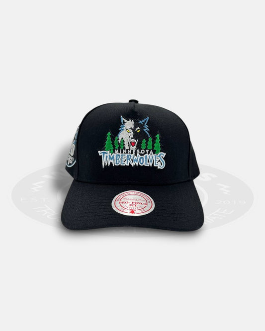 Minnesota Timberwolves 1989-2009 20th Seasons Pro Pinch Fit Snapback Hat