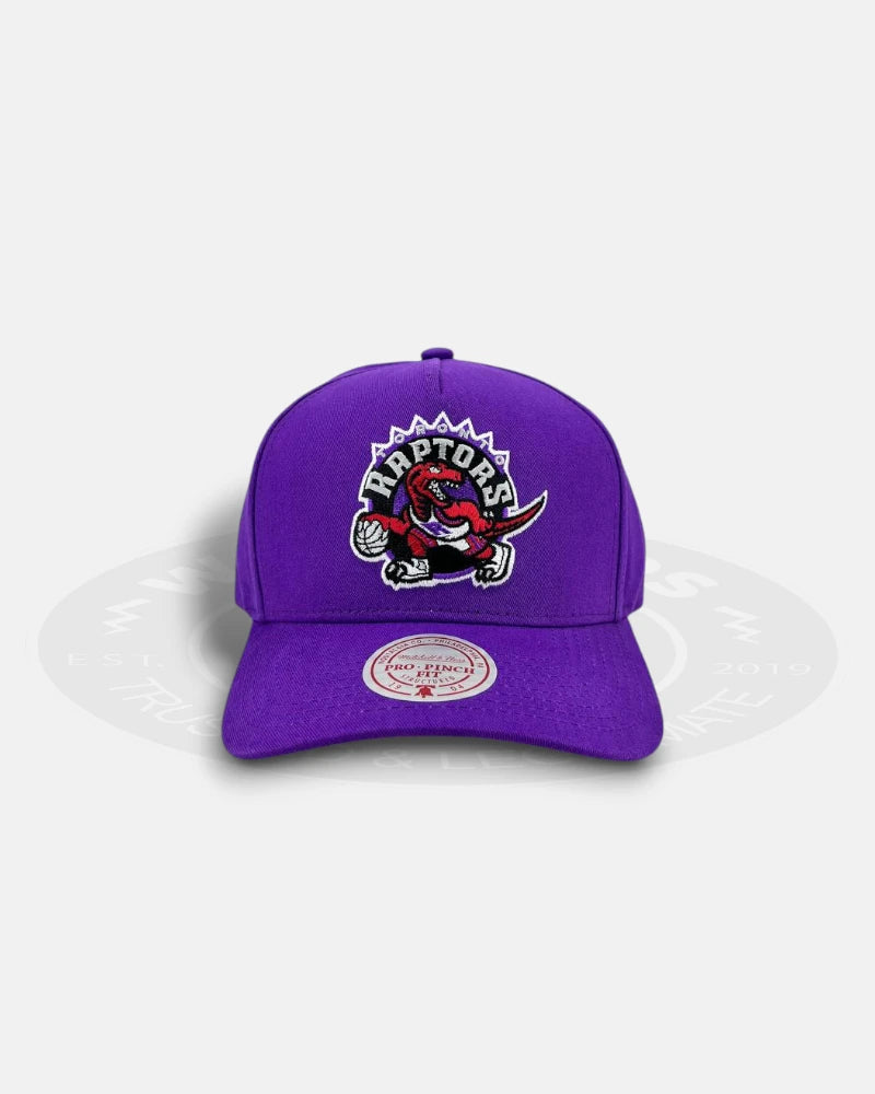 Toronto Raptors HWC Purple Team Color Pro Pinch Snapback Hat