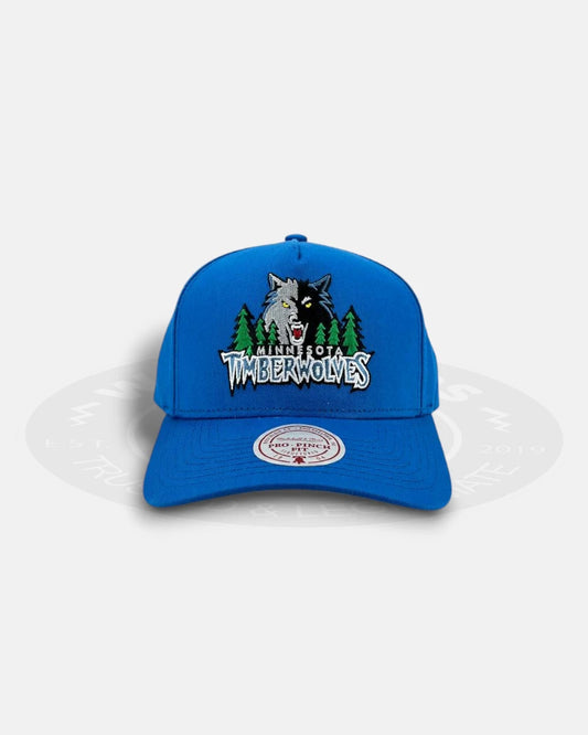 Minnesota Timberwolves Team Color HWC Pro Pinch Snapback Hat