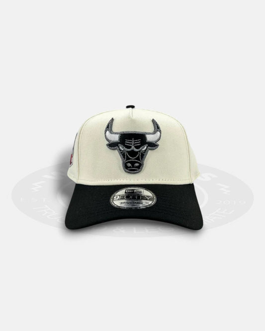 Chicago Bulls 1966 Chrome Two Tone 9FORTY A-Frame Snapback Hat