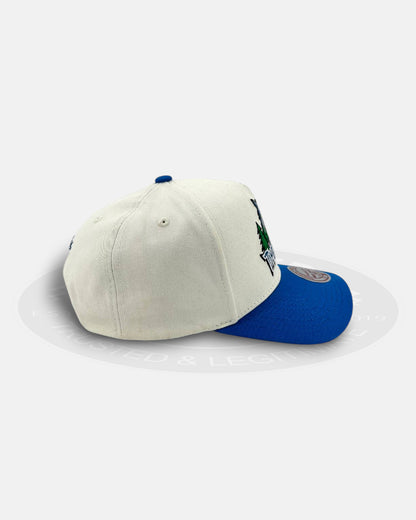 Minnesota Timberwolves HWC Two-Tone Pro Pinch Snapback Hat