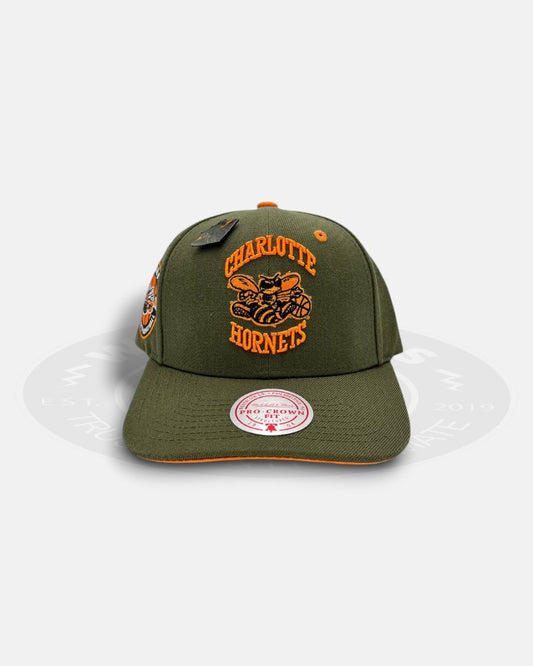 Charlotte Hornets Harmony 1986-2016 30th Years Pro Crown Snapback Hat
