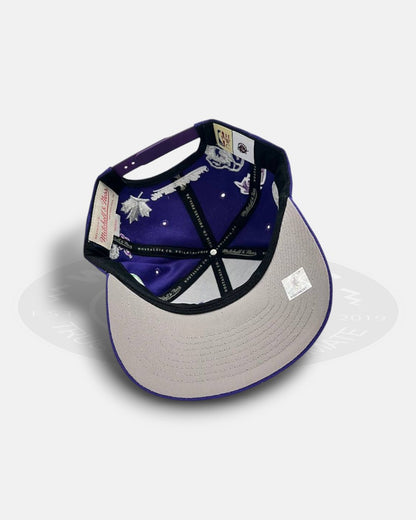 Toronto Raptors Highway Black Adjustable Fit Snapback Hat