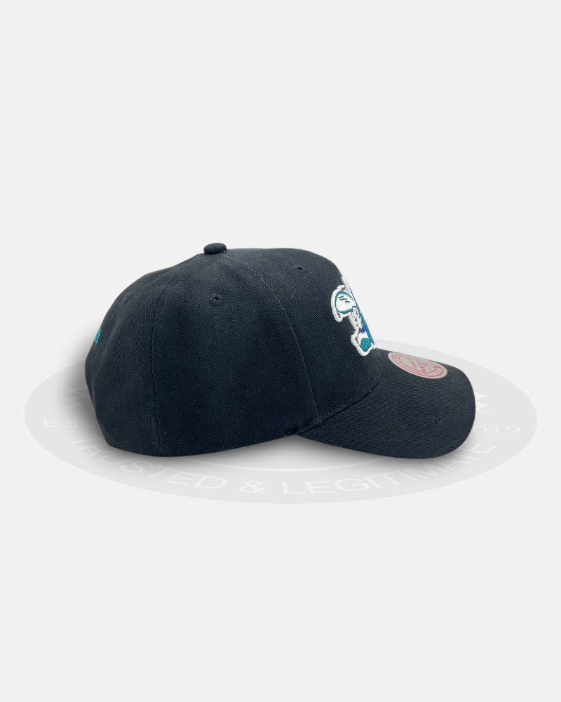 Charlotte Hornets Core Classic Deadstock Snapback Hat